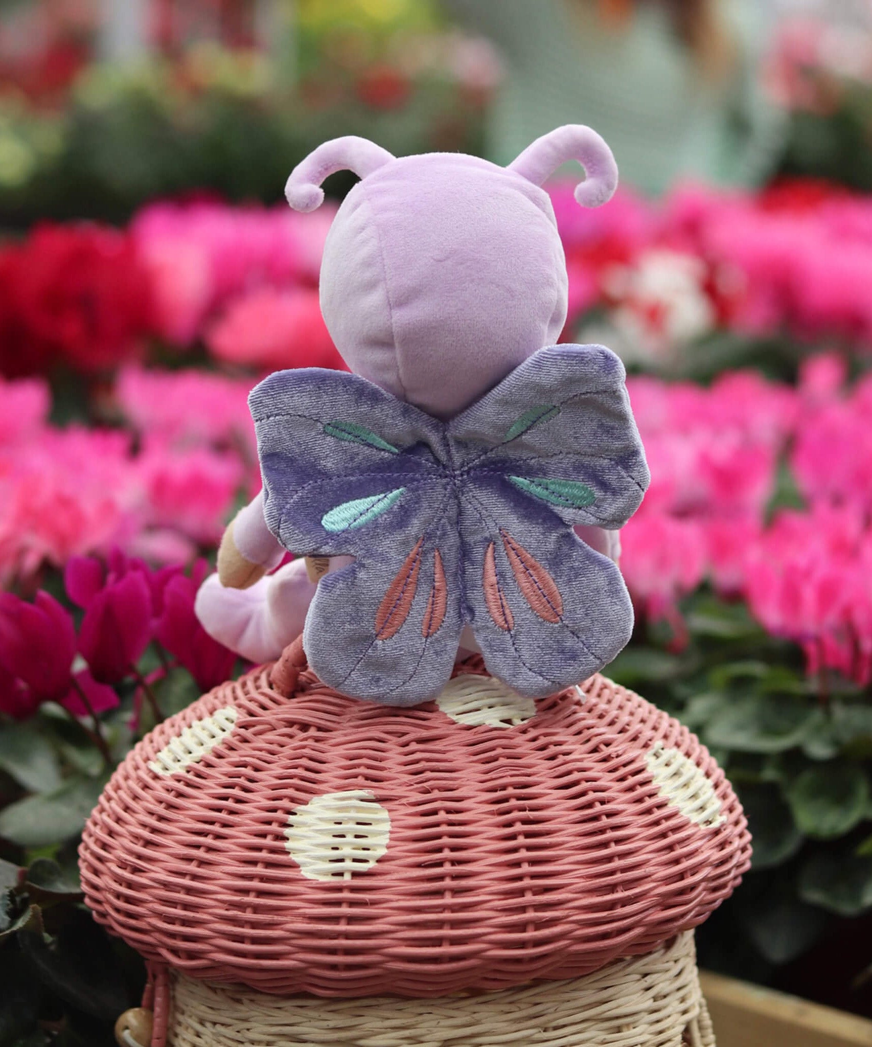 The Olli Ella Dinky Dinkum Doll - Betty Butterfly - in a light purple onesie, with brown hair, blue eyes, dark purple butterfly wings, and antennae. It is sat on a rattan toadstool basket in a flower garden.