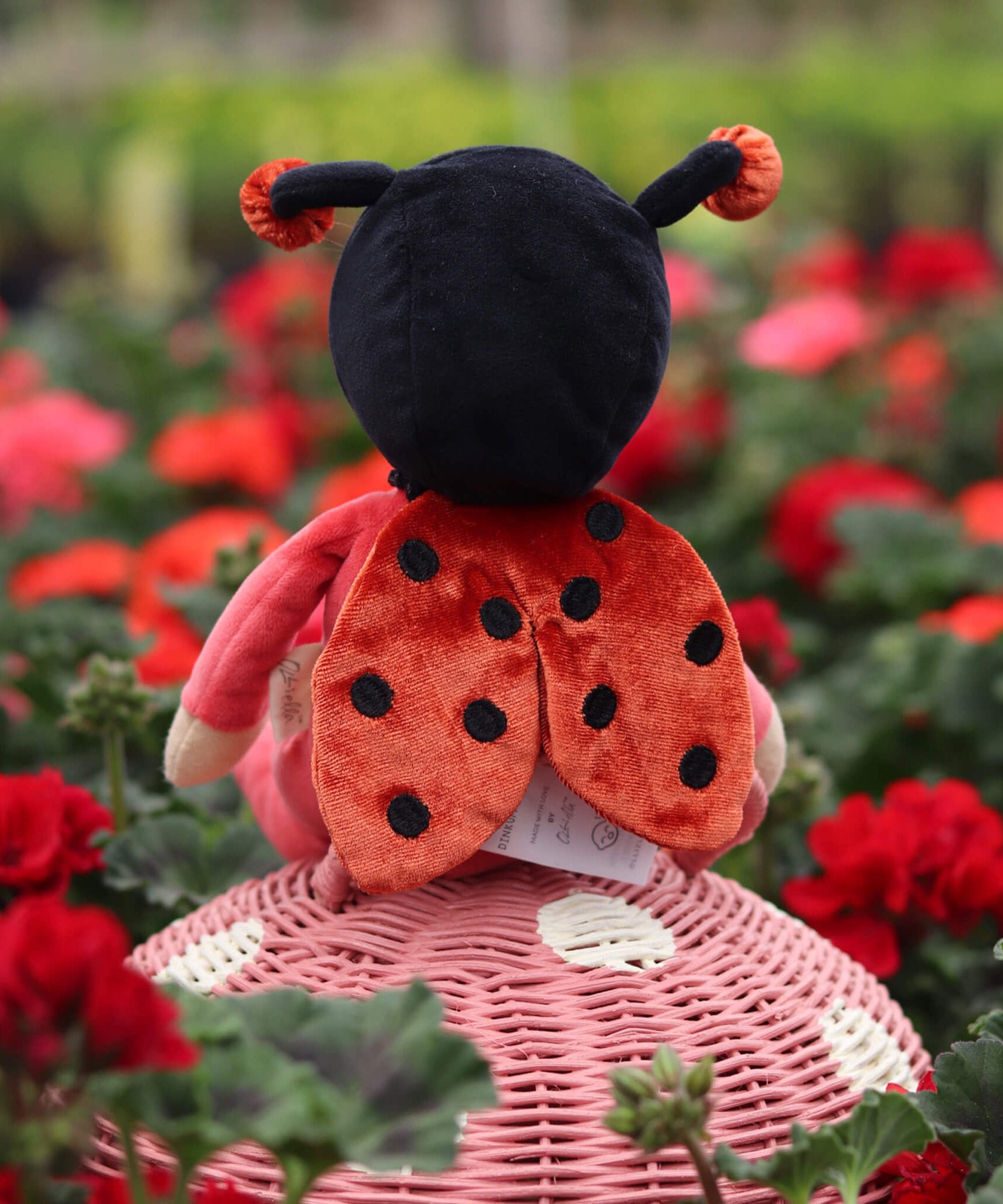 The back of the Olli Ella Dinky Dinkum Doll - Lola Ladybug - in a red onesie with ladybird wings, sat on a rattan toadstool basket in a flower garden.