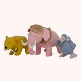 Olli Ella Holdie Extinct Animals