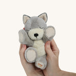 A person holding the soft grey and white banjo Olli Ella dinkum puppy for scale