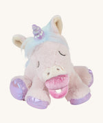 The baby unicorn toy sat down with a dummy