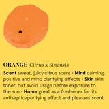 Infographic showing the main benefits of Orange essential oil.
