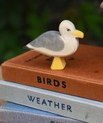 A close up of an Ostheimer seagull placed on a pile of books.