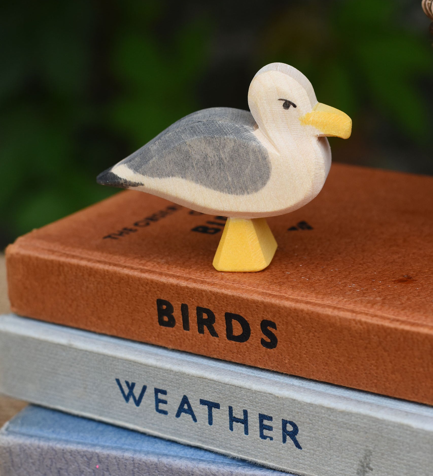 A close up of an Ostheimer seagull placed on a pile of books.