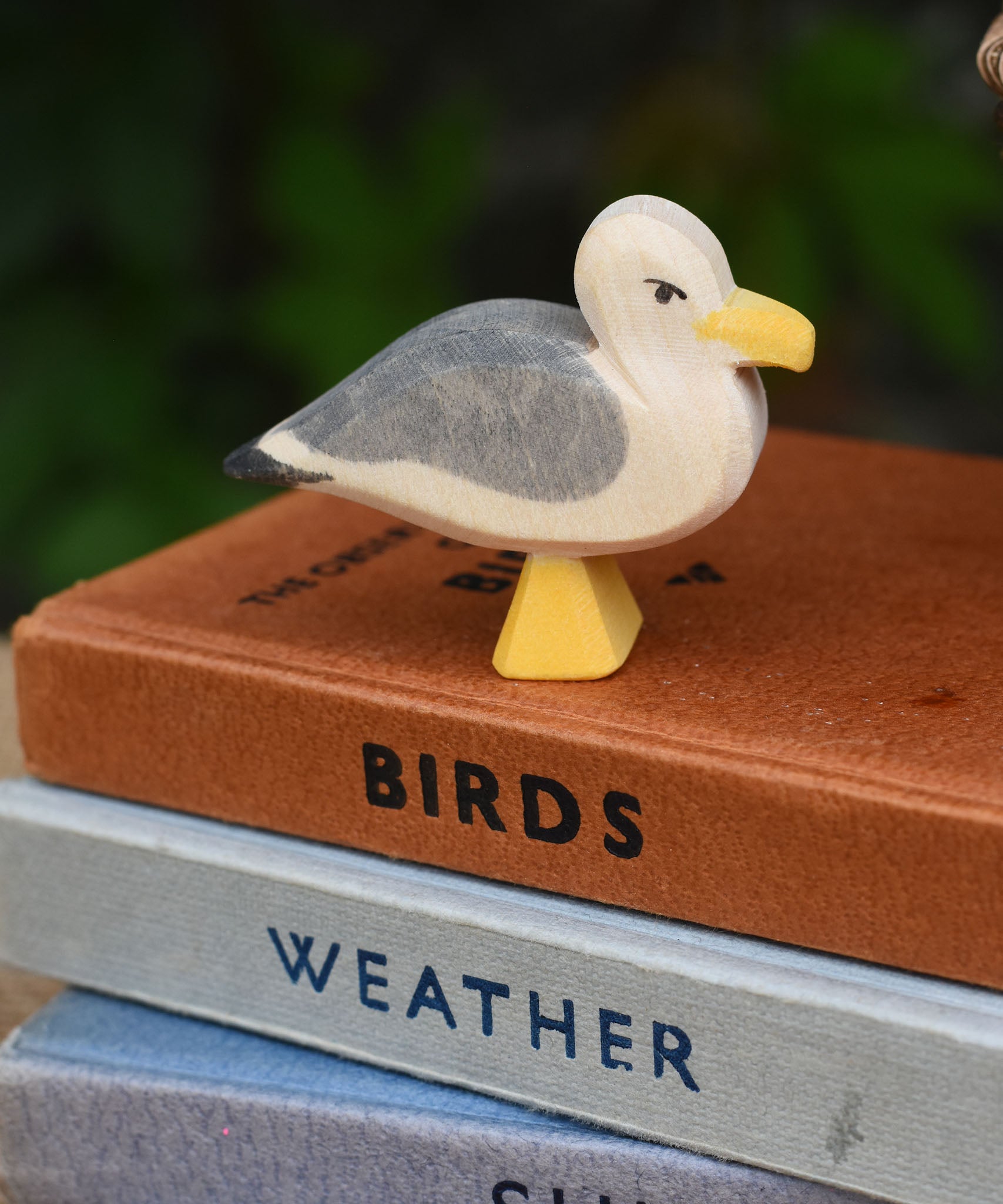 A close up of an Ostheimer seagull placed on a pile of books.
