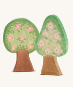 The Ostheimer apple tree pictured next to a pear tree showing the blossom detail sides on a plain background. 
