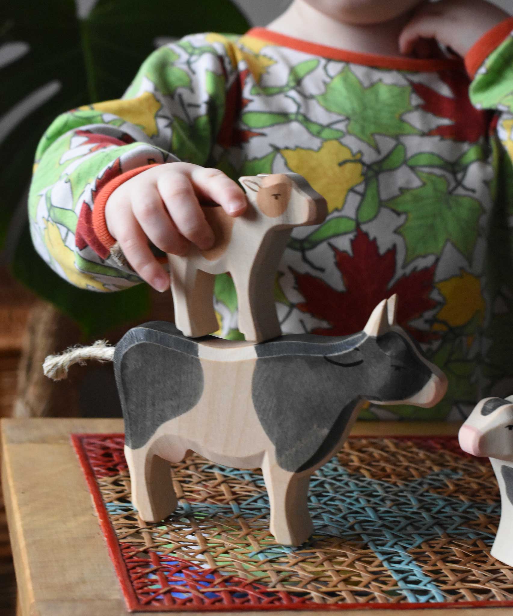 Child placing an Ostheimer brown calf figure on the back of a black and white cow figure.
