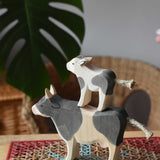 Ostheimer black and white calf placed on top of a black and white cow. 