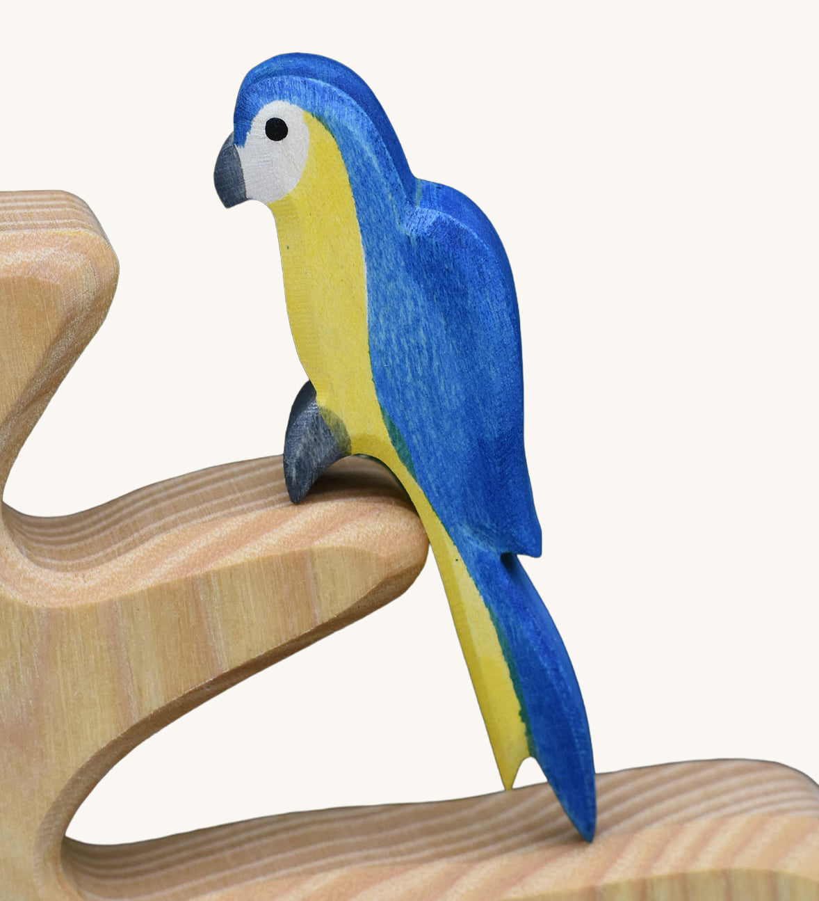 A close up of an Ostheimer blue parrot shown on a branch of a bird tree