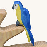 A close up of an Ostheimer blue parrot shown on a branch of a bird tree