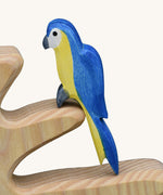 A close up of an Ostheimer blue parrot shown on a branch of a bird tree