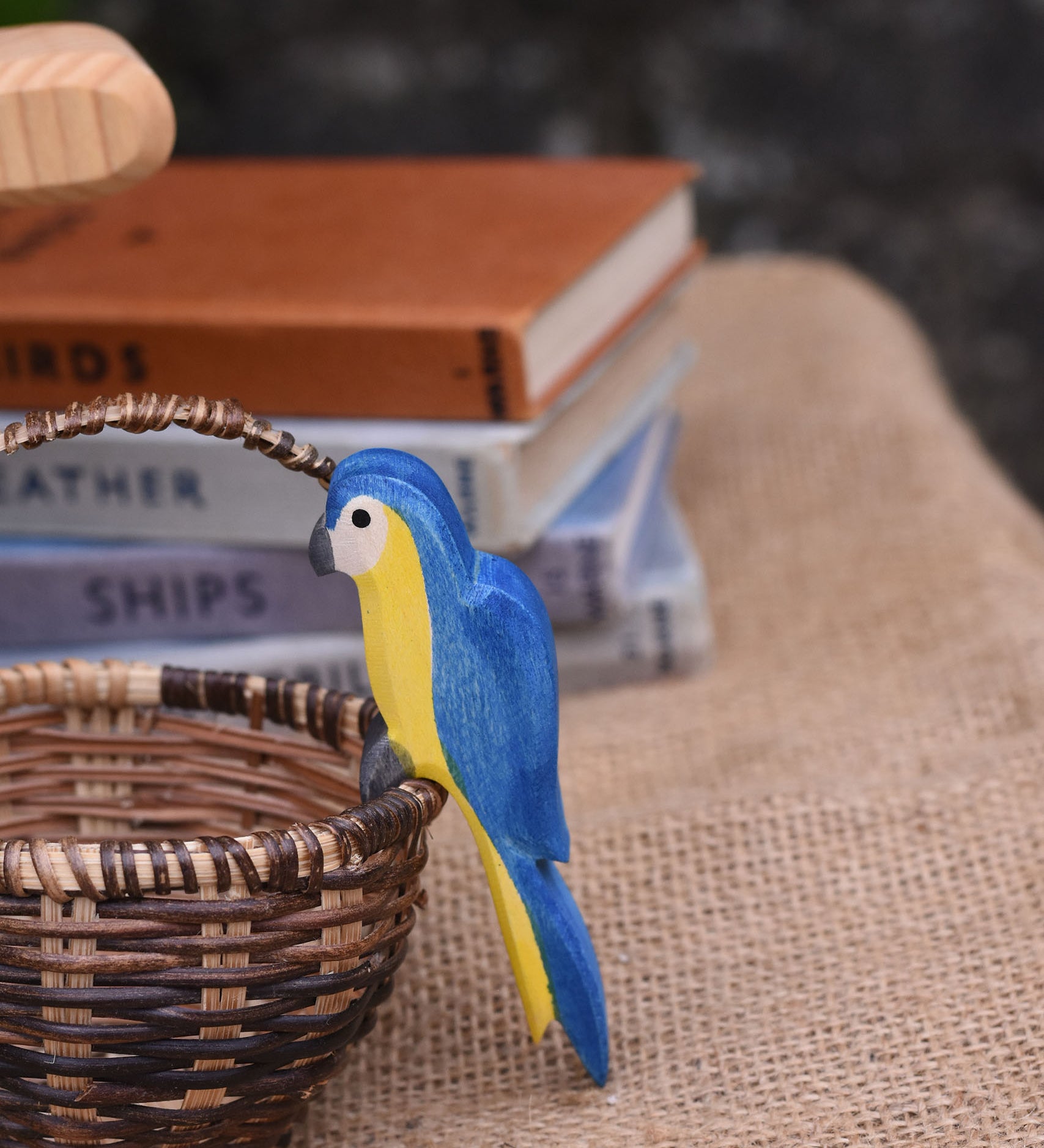An Ostheimer blue parrot perching on the side of a Kraul basket.