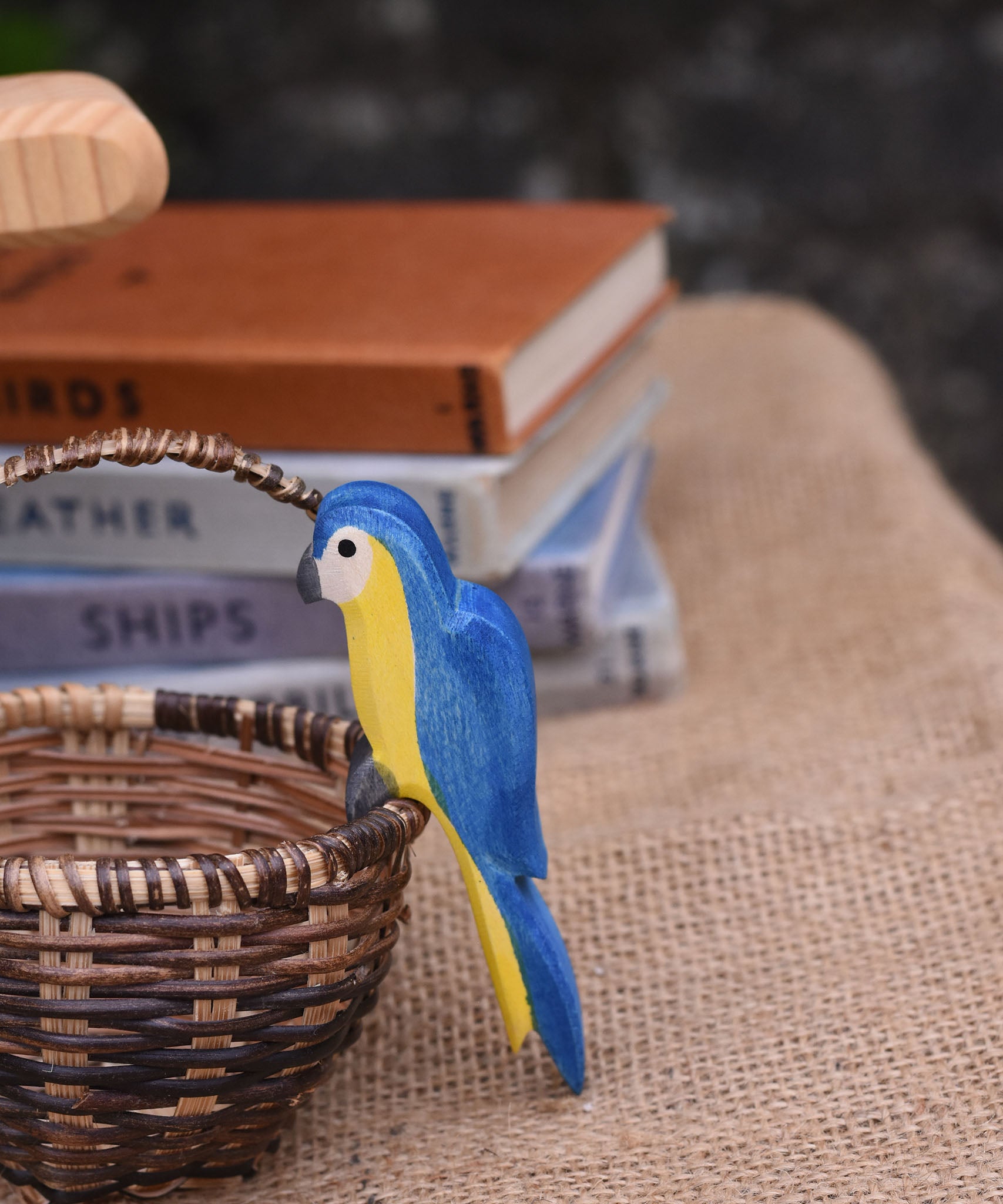 An Ostheimer blue parrot perching on the side of a Kraul basket.
