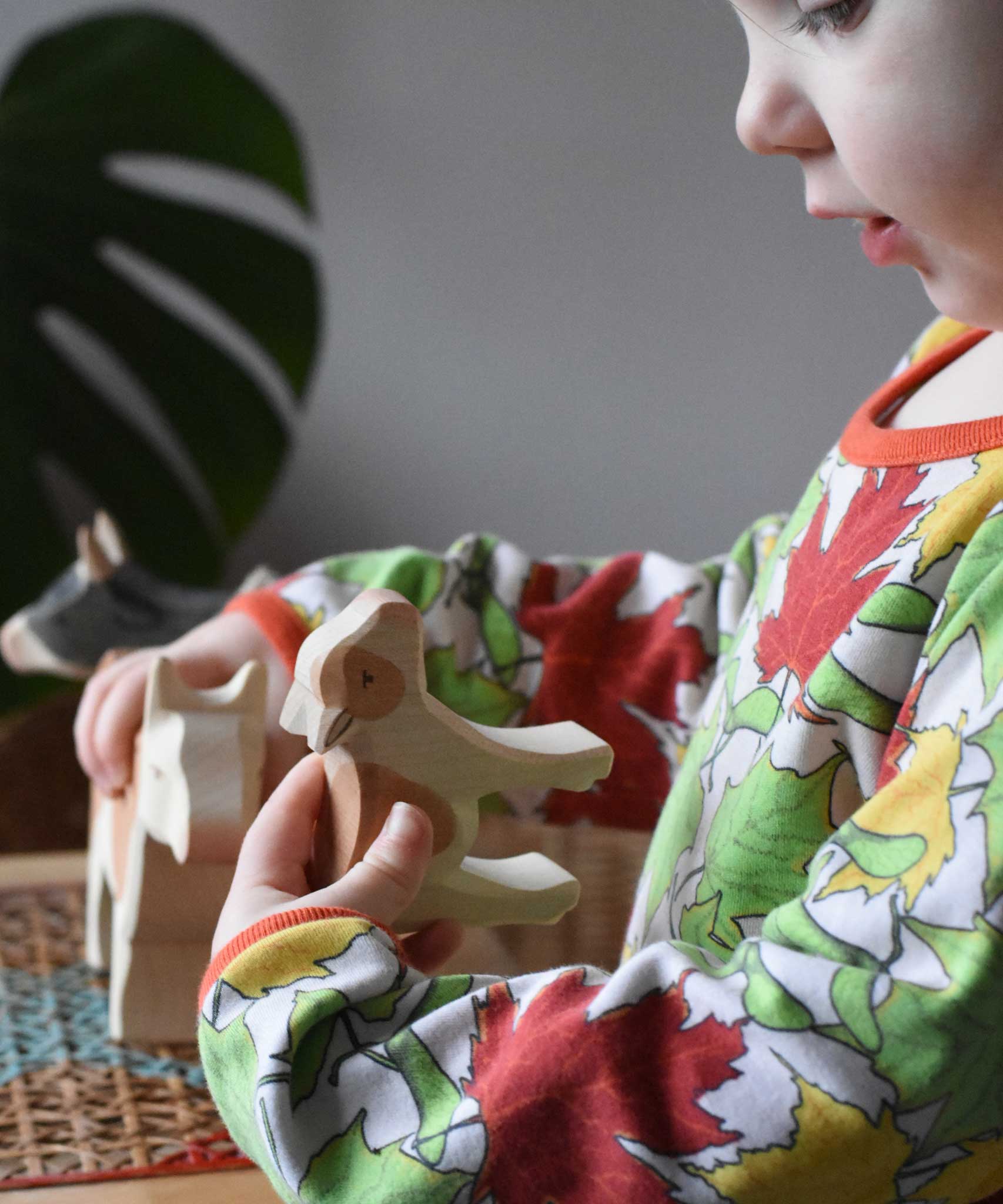Child holding an Ostheimer brown standing calf in their hand looking down at it with the brown cow in their other hand in the background. 