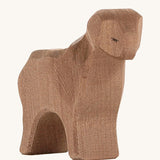 Ostheimer Brown Standing Sheep on a plain background. 