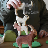Child stacking Ostheimer goats on top of each other, Four goats in a mix of colours and sizes. 