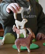 Child stacking Ostheimer goats on top of each other, Four goats in a mix of colours and sizes. 