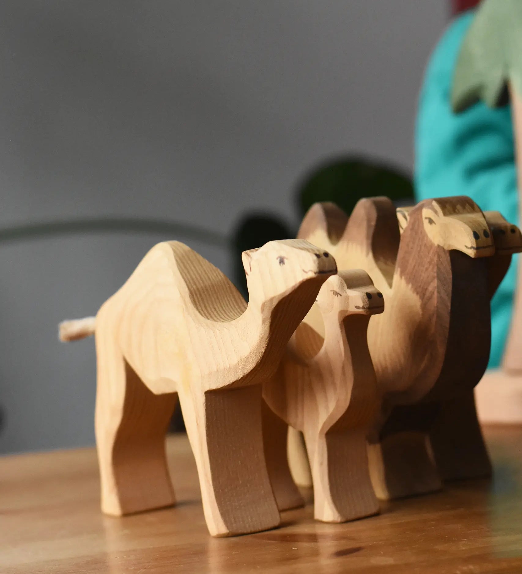 Ostheimer dromedary camel placed on a wooden surface.