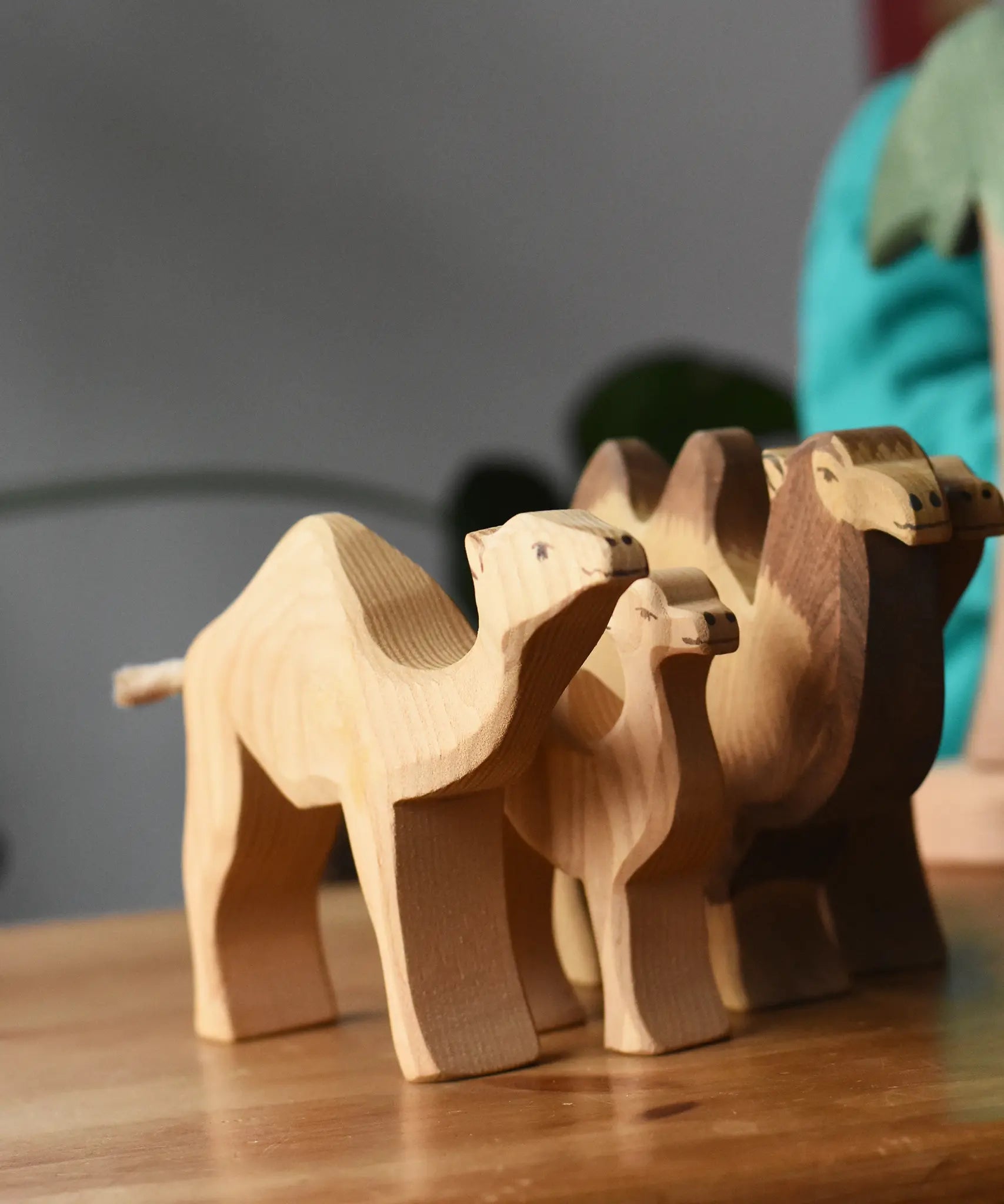 Ostheimer dromedary camel placed on a wooden surface.