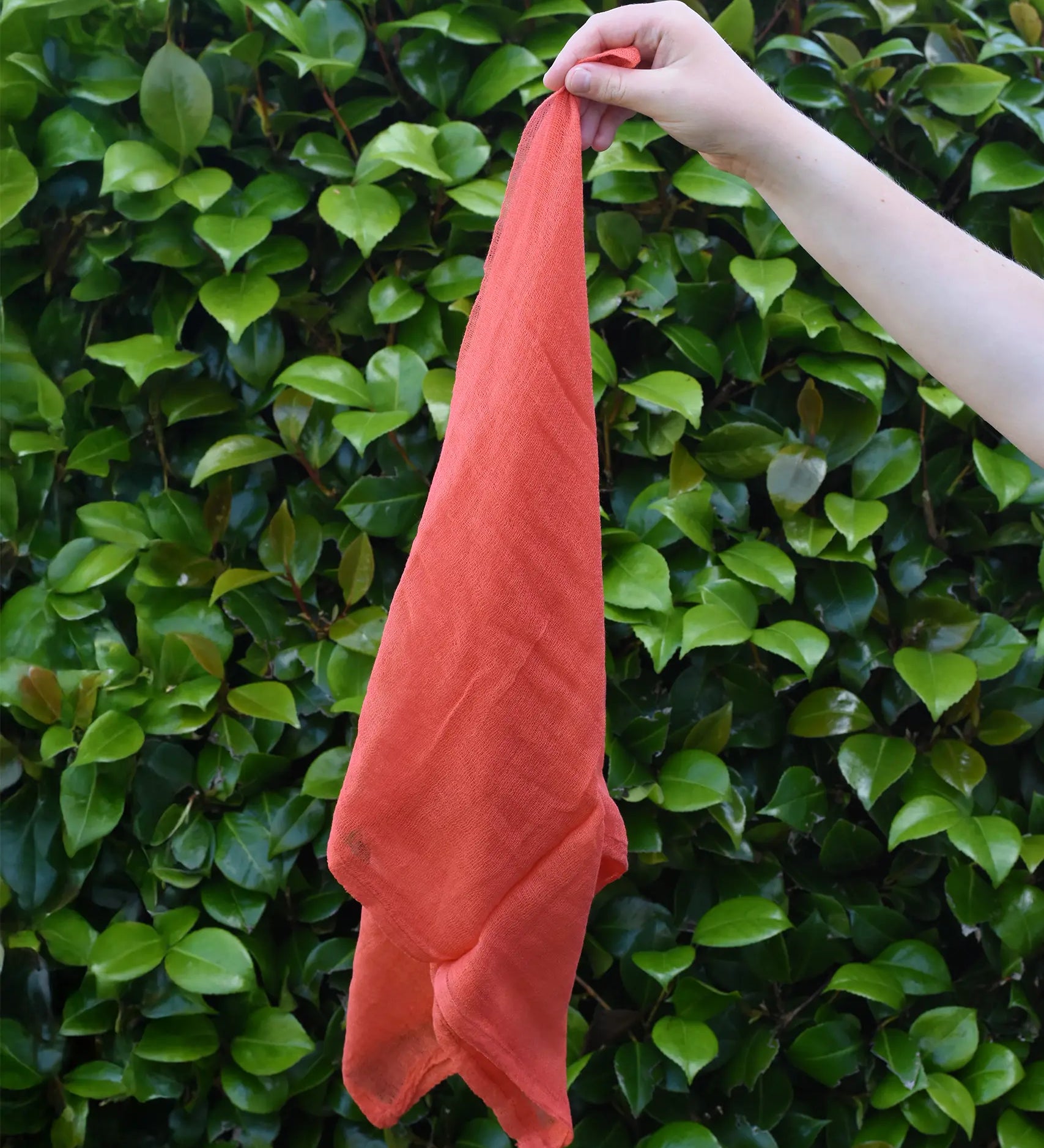 Ostheimer cinnabar orange decoration play cloth in a child's hand.