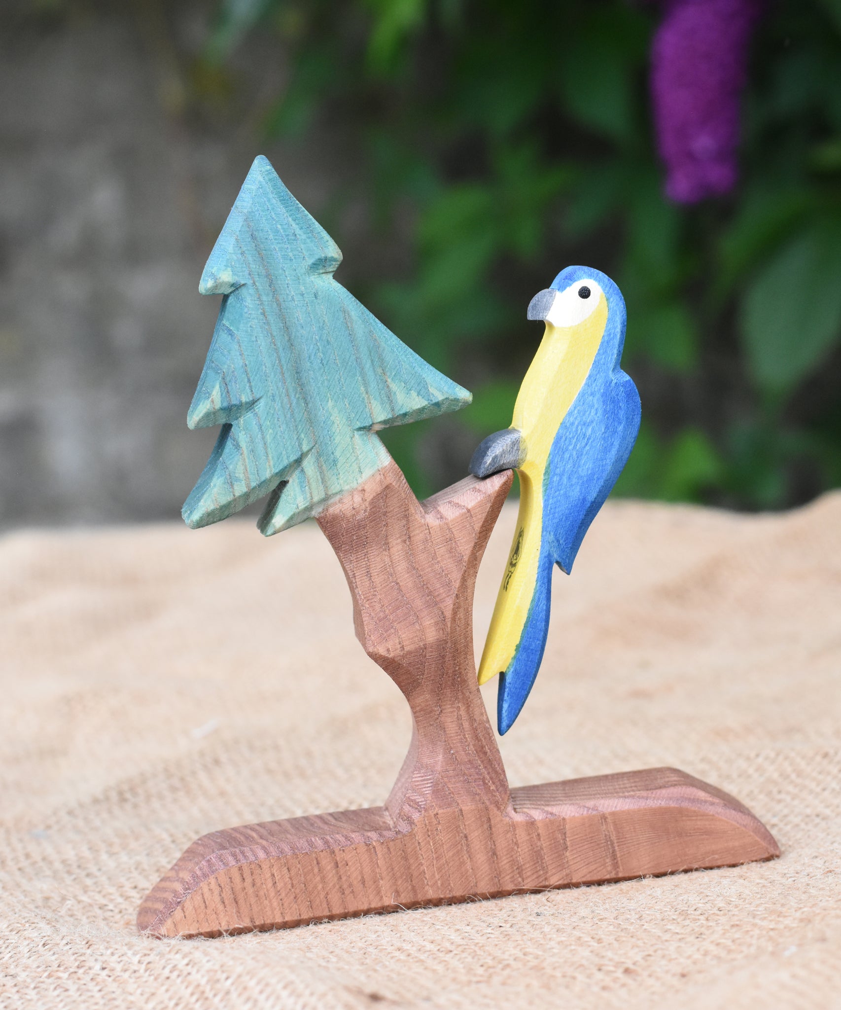 A blue Ostheimer parrot perching on an Ostheimer fir tree.