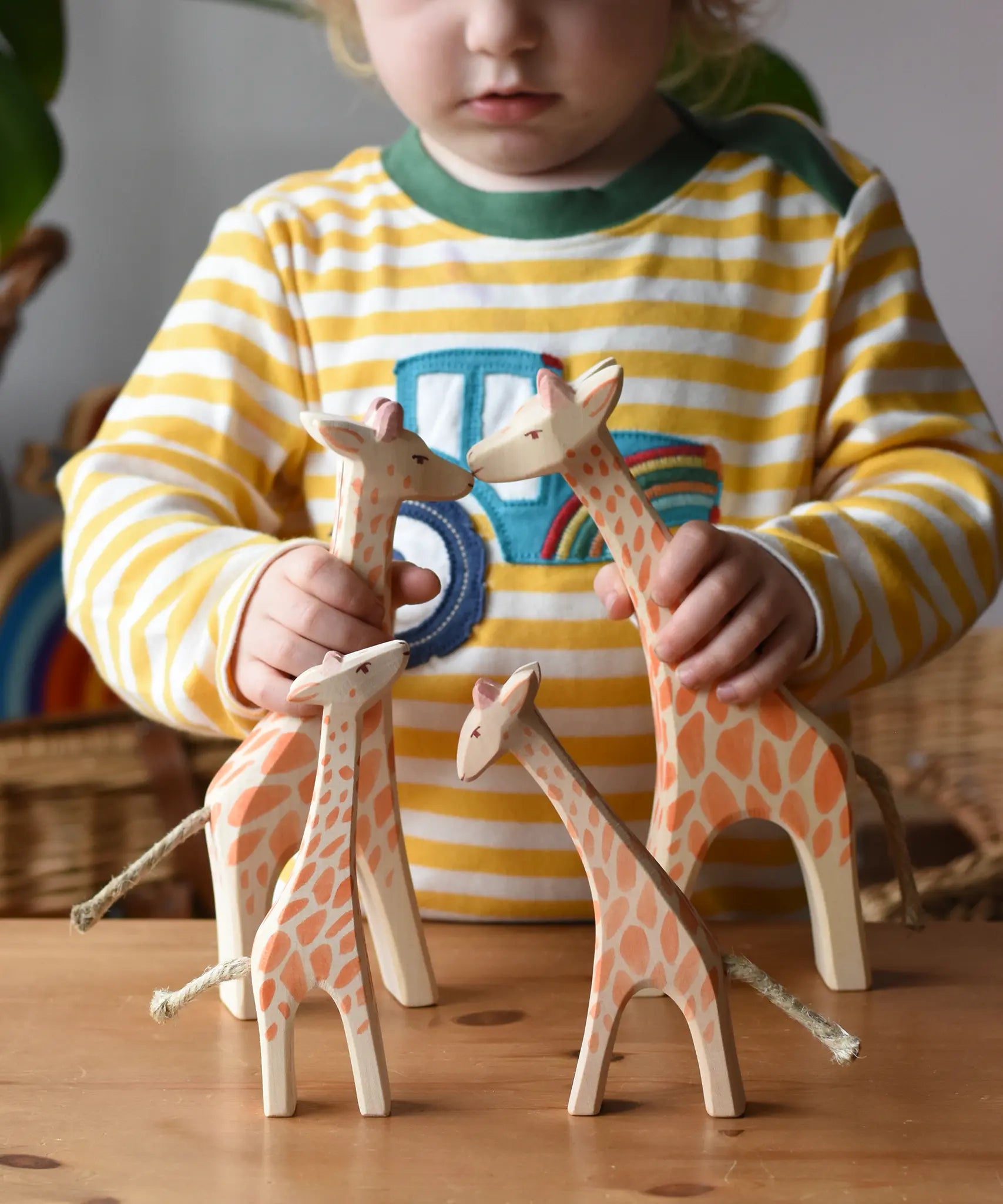 Ostheimer giraffe family handmade wooden toy figures. Child is holding a running and standing giraffe with a small with head low and small with head high giraffes on a wooden surface in front of them. 