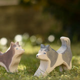 Ostheimer grey and white running sled dog placed on grass next to a standing sled dog in the Babipur garden.