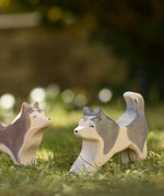 Ostheimer grey and white running sled dog placed on grass next to a standing sled dog in the Babipur garden.