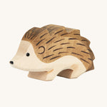 Ostheimer Hedgehog on a plain background. 