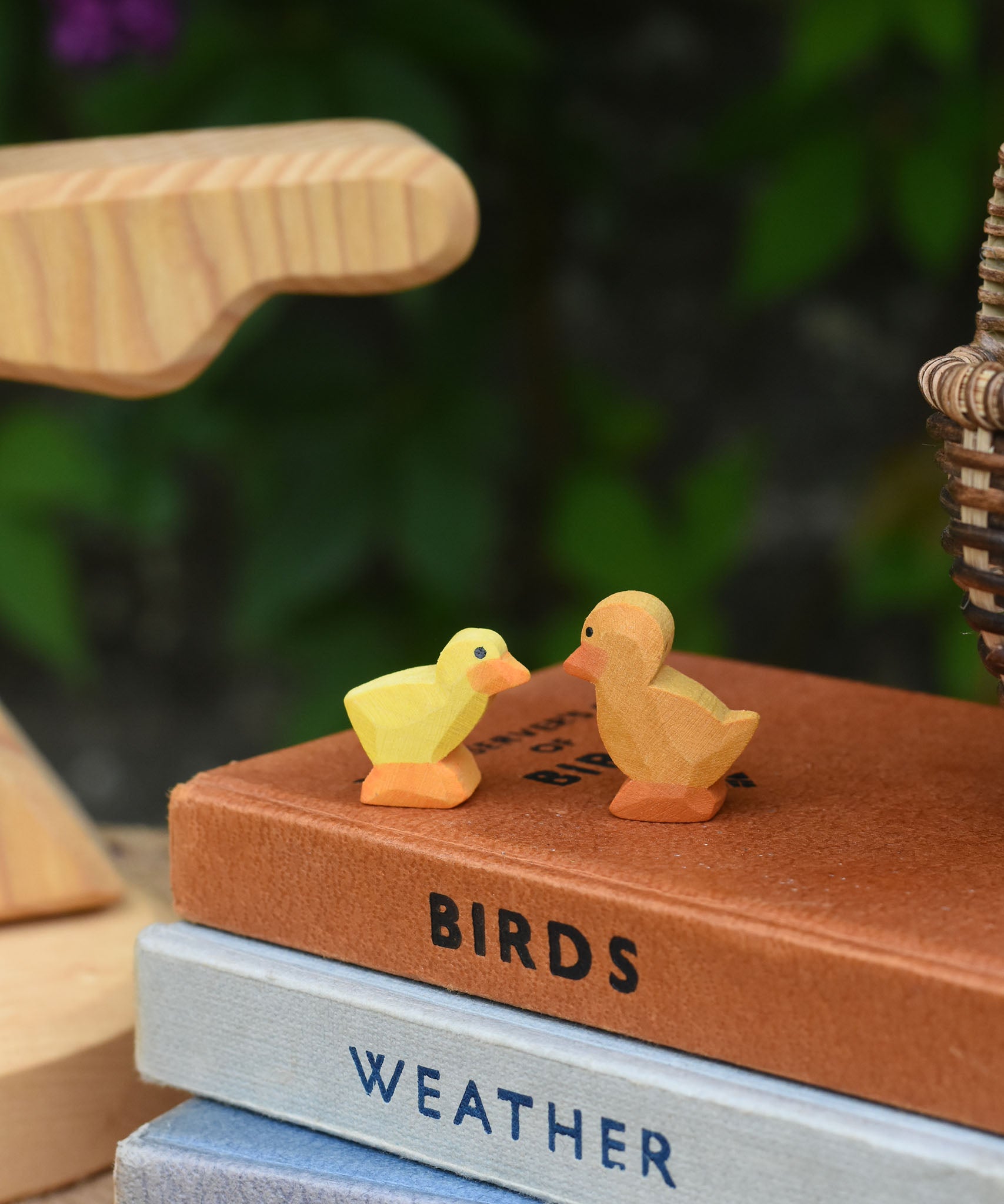 Ostheimer light chick and duckling placed next to each other on top of a pile of books.