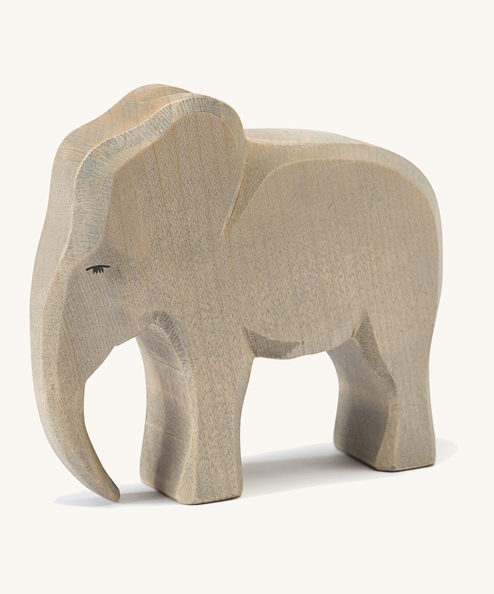 Ostheimer Elephant Bull Male Babipur