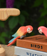 A close up of an Ostheimer multicoloured parrot figure perching on a pile of old books.