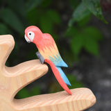 An Ostheimer multi colour parrot perching on a branch of the Ostheimer bird tree.