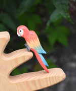 An Ostheimer multi colour parrot perching on a branch of the Ostheimer bird tree.
