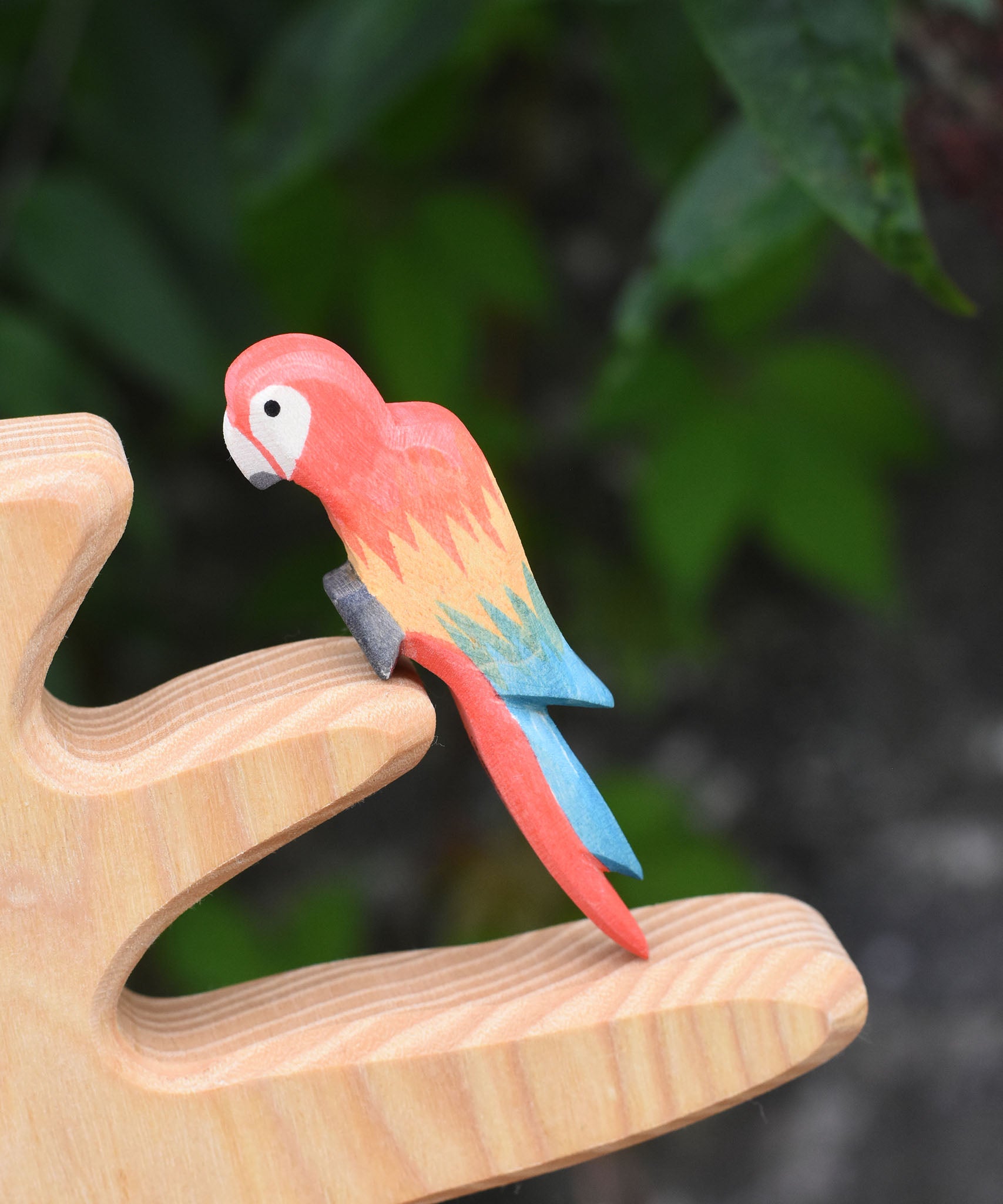 An Ostheimer multi colour parrot perching on a branch of the Ostheimer bird tree.