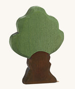 Ostheimer Oak Tree on a plain background. 