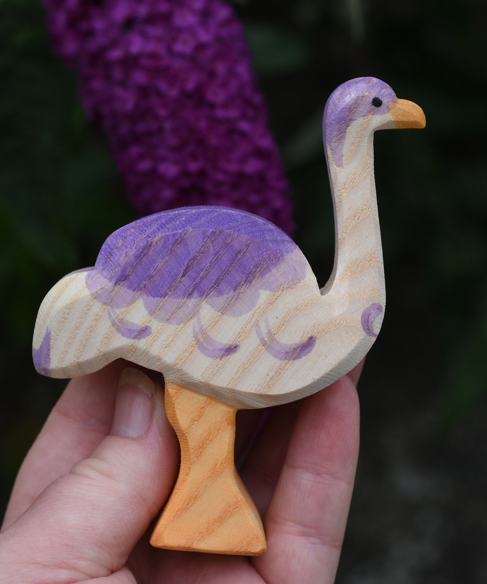 An Ostheimer ostrich shown in an adult's hand for scale. Purple buddleia flowers can be seen in the background. 