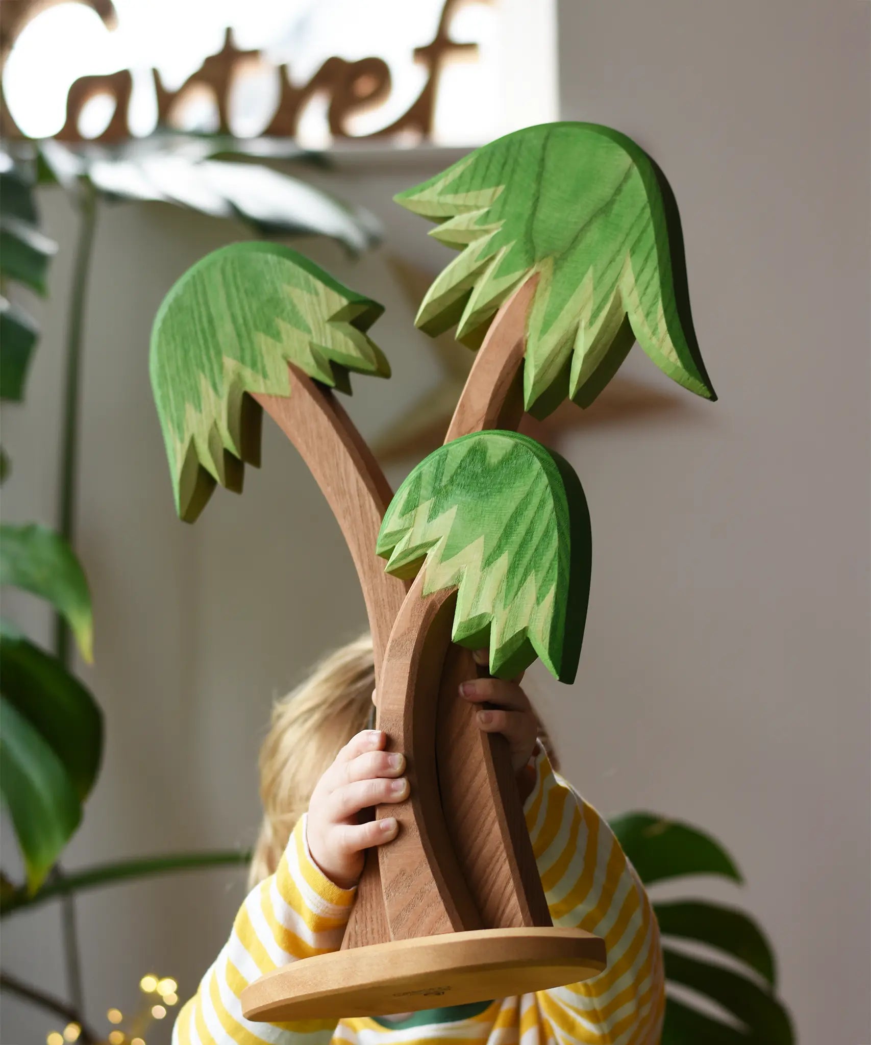 Ostheimer palm tree group with support base being held up in the air by a child.