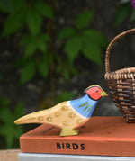 An Ostheimer pheasant placed on top of a pile of old books.