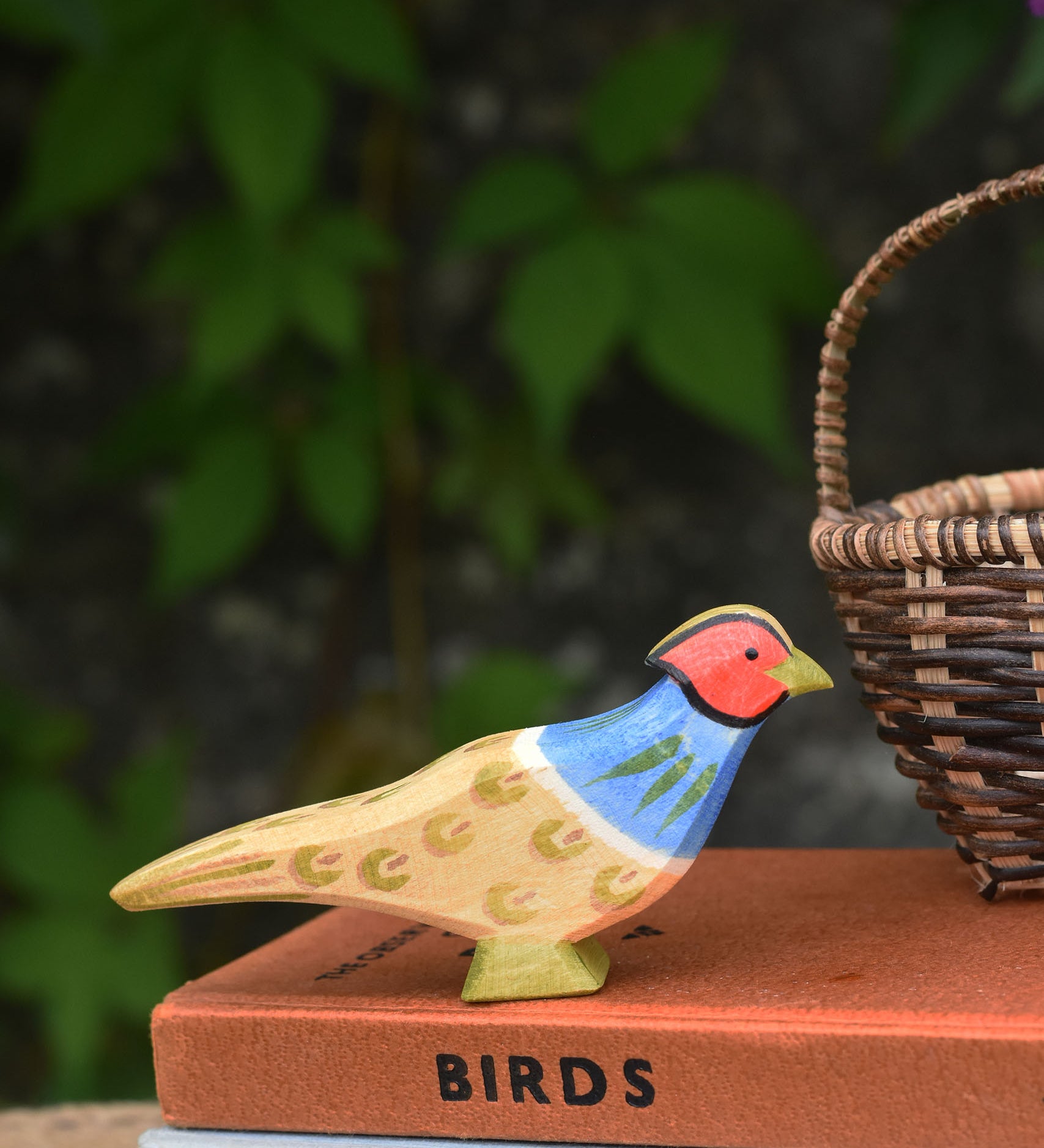 An Ostheimer pheasant placed on top of a pile of old books.