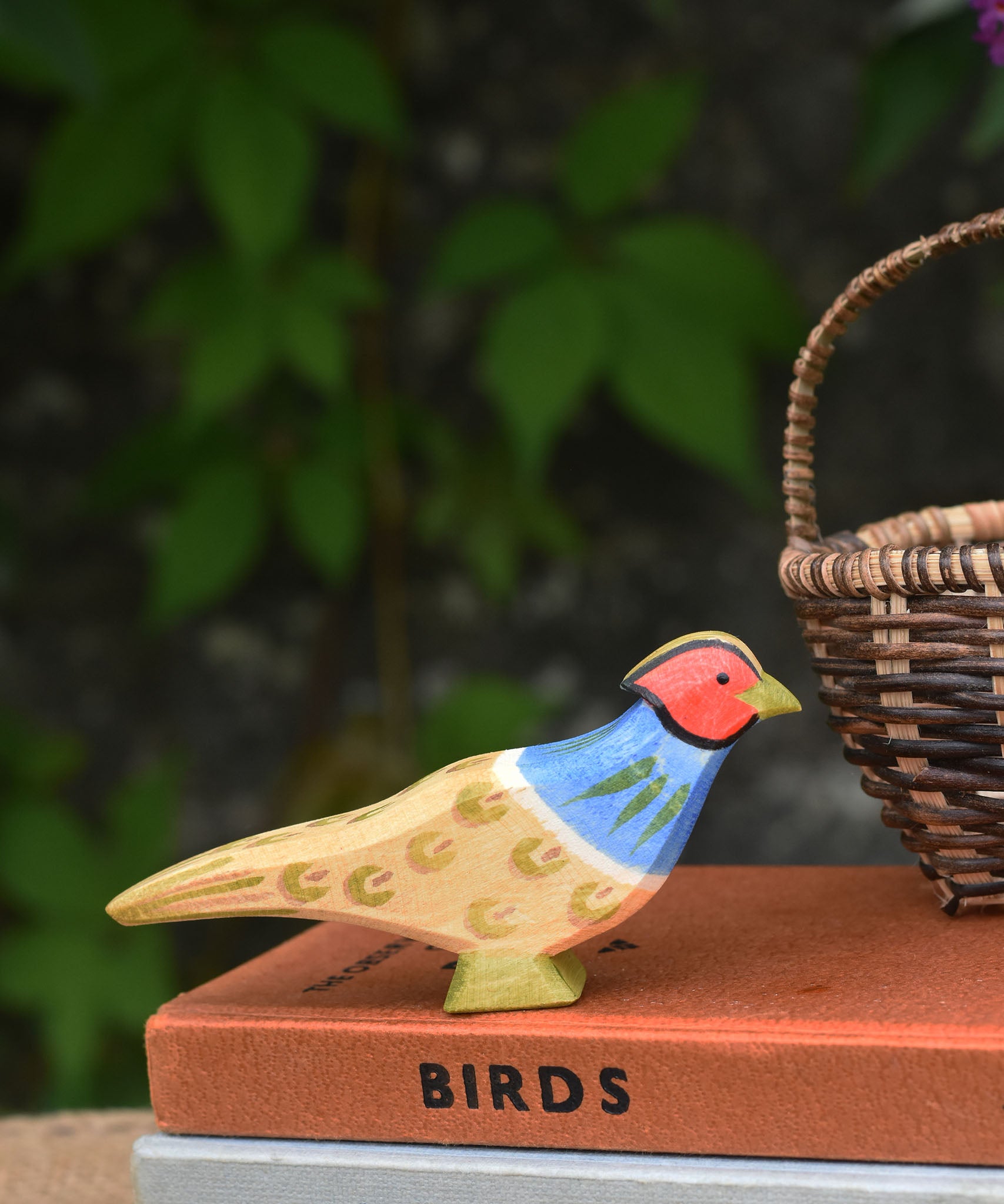 An Ostheimer pheasant placed on top of a pile of old books.