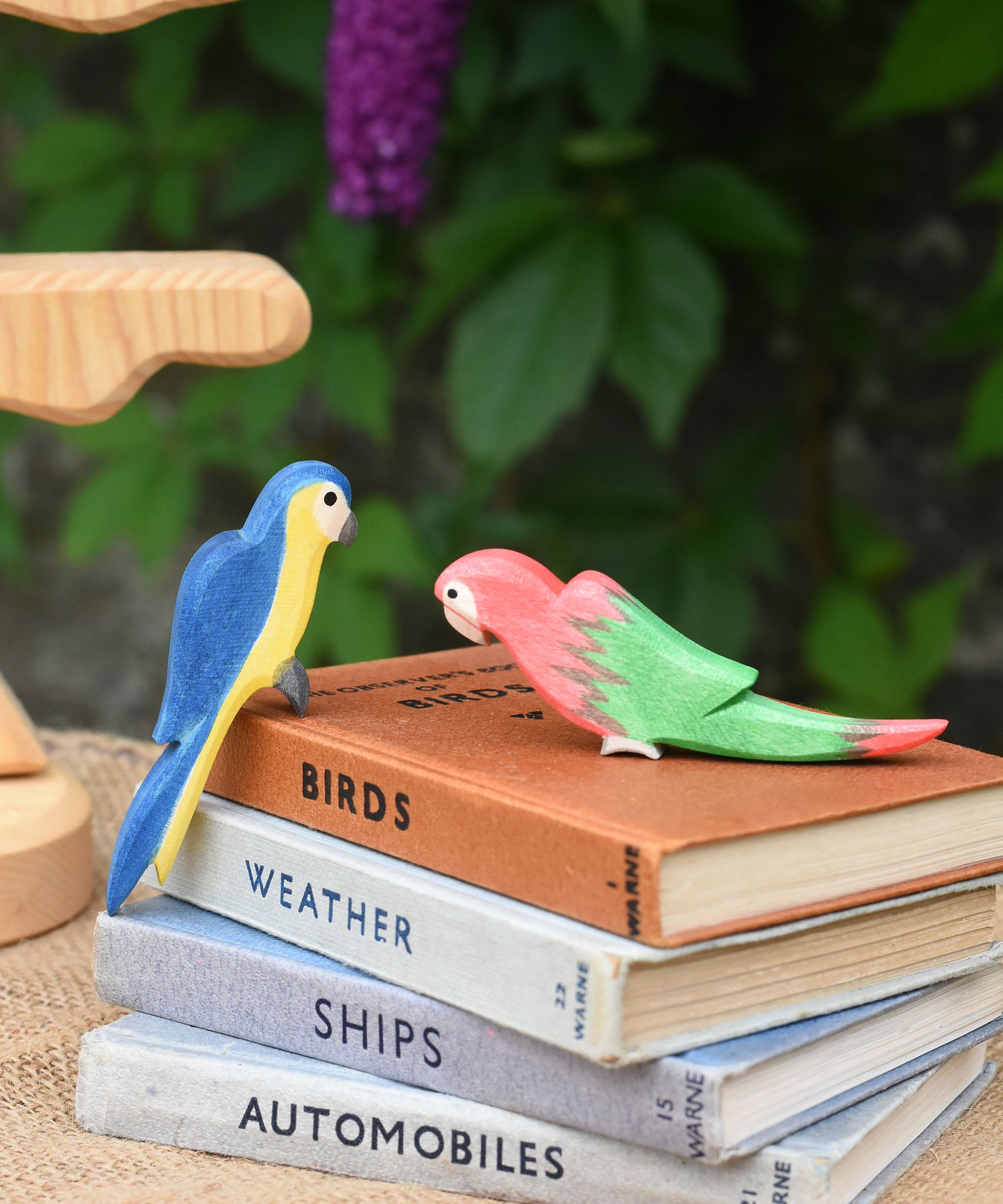 Two Ostheimer parrots, one blue, one red placed on a pile of old books.