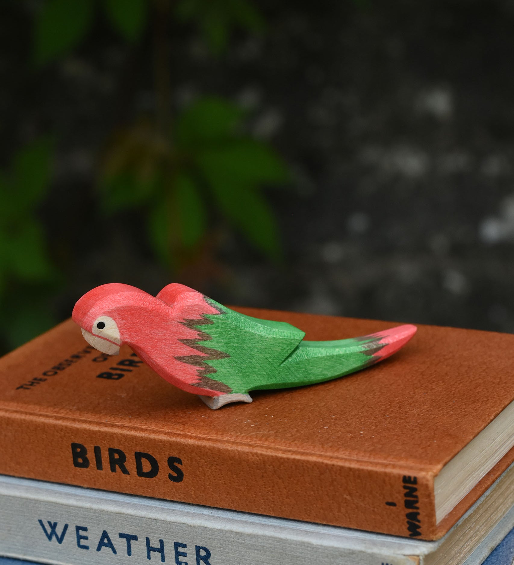 A red Ostheimer parrot placed on top of a pile of old books. 