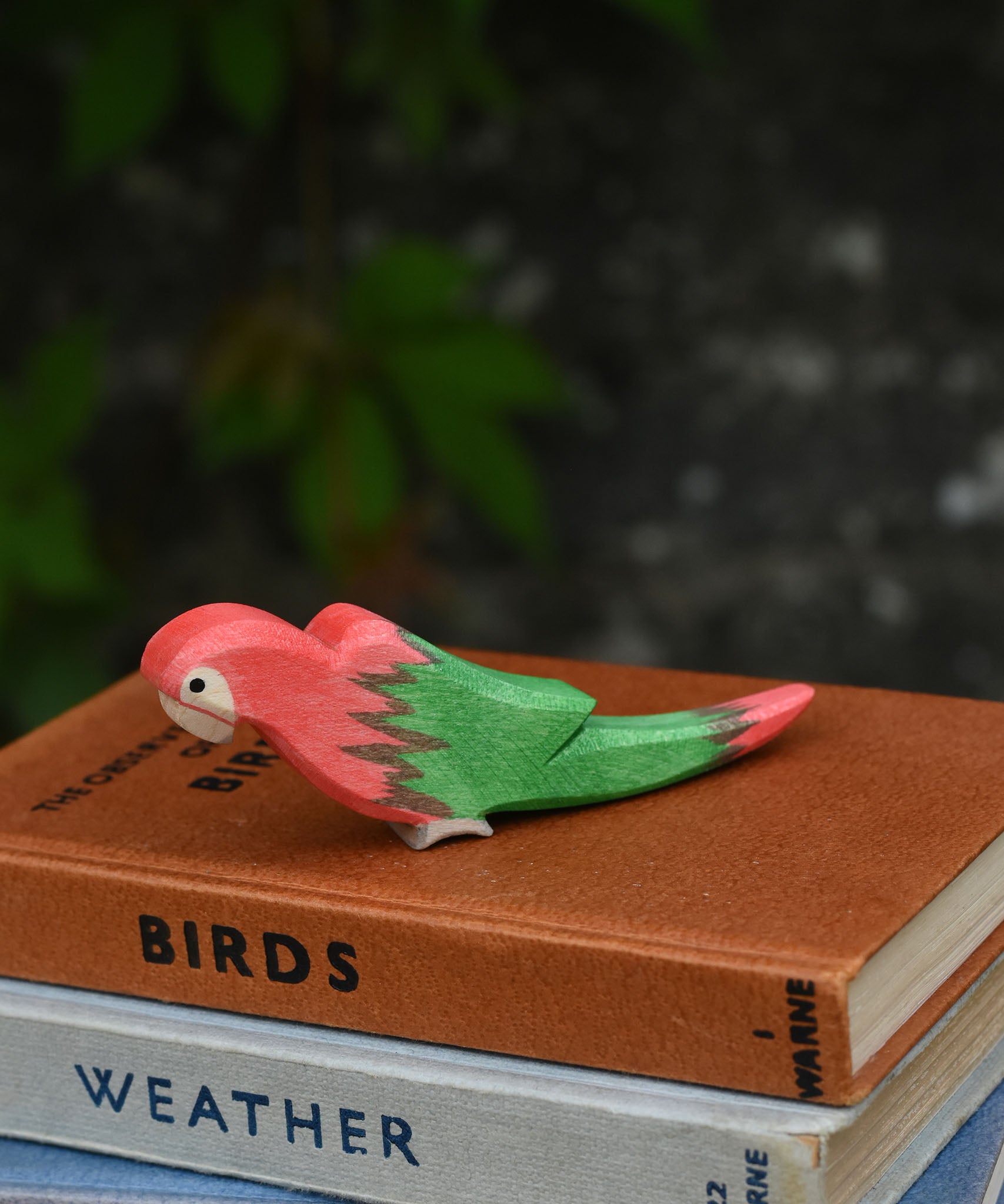 A red Ostheimer parrot placed on top of a pile of old books. 