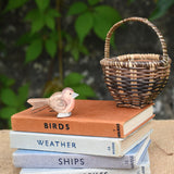 An Ostheimer robin readbreast placed on a pile of books next to to a Kraul basket.