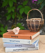 An Ostheimer robin readbreast placed on a pile of books next to to a Kraul basket.