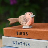 A close up of an Ostheimer robin readbreast placed on a pile of books.