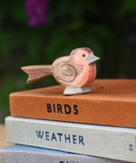 A close up of an Ostheimer robin readbreast placed on a pile of books.