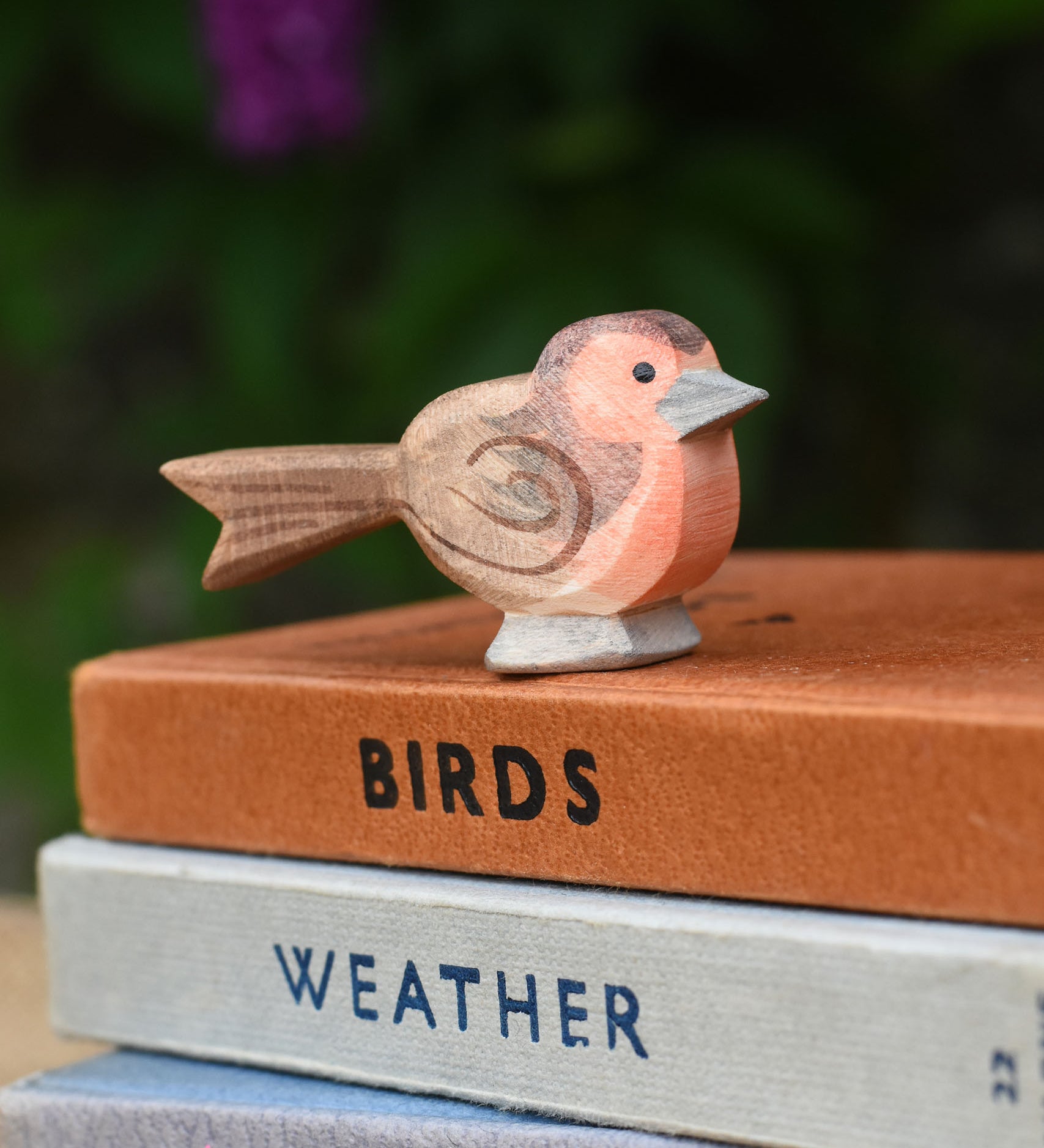 A close up of an Ostheimer robin readbreast placed on a pile of books.