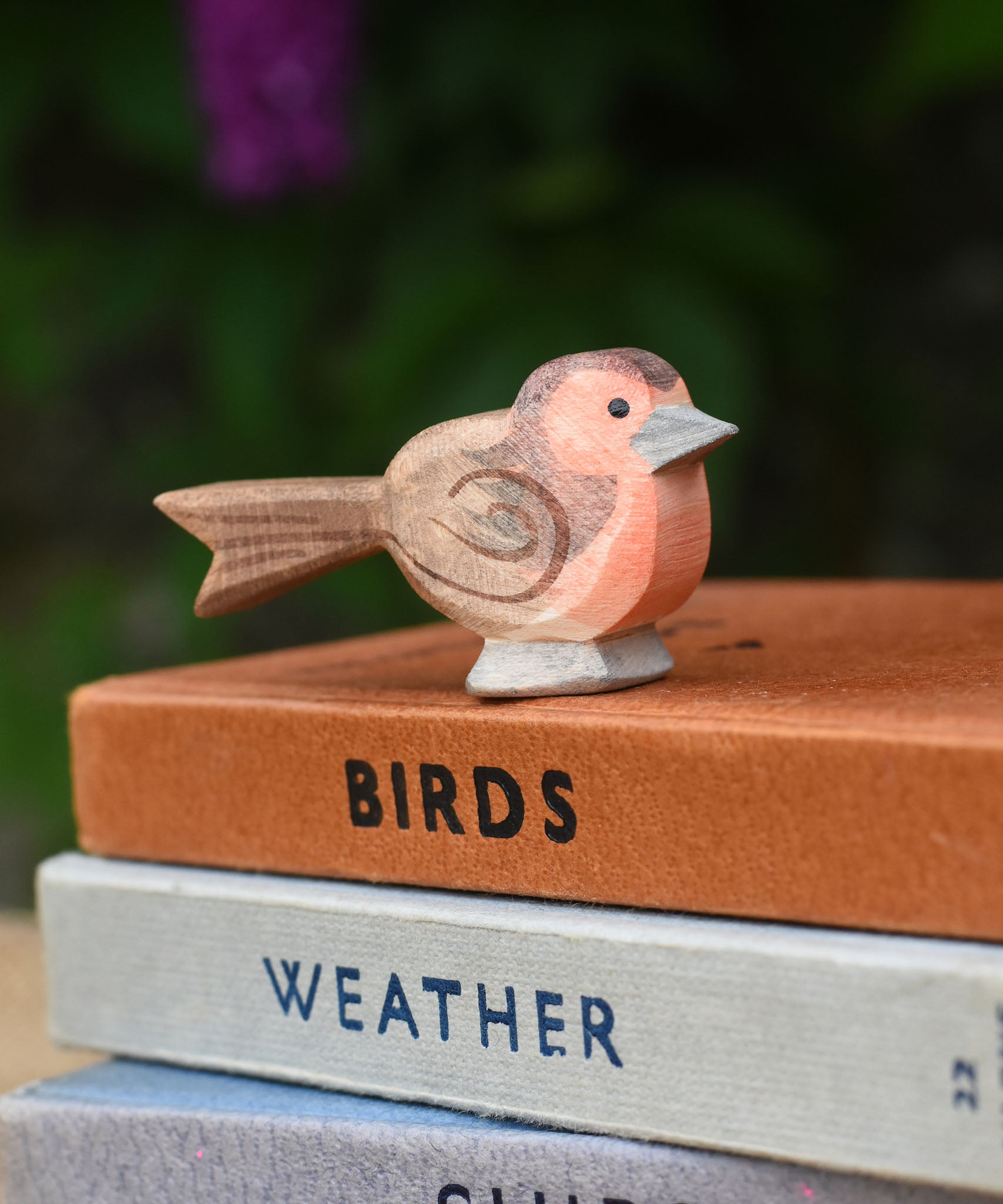A close up of an Ostheimer robin readbreast placed on a pile of books.